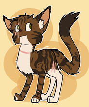 A chocolate-and-white tabby cat looking off into the distance with a smile on a pale yellow background.