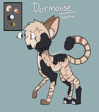 A mismatched cat, with most of her body being a pale cream with brown stripes and some patches being black, curly fur. There's a box for her colors, and above her is written "Dormouse" and "she/her".